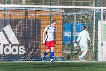 Bild 151 - F Hamburger SV 3 - Blau-Weiss 96 : Ergebnis: 5:1